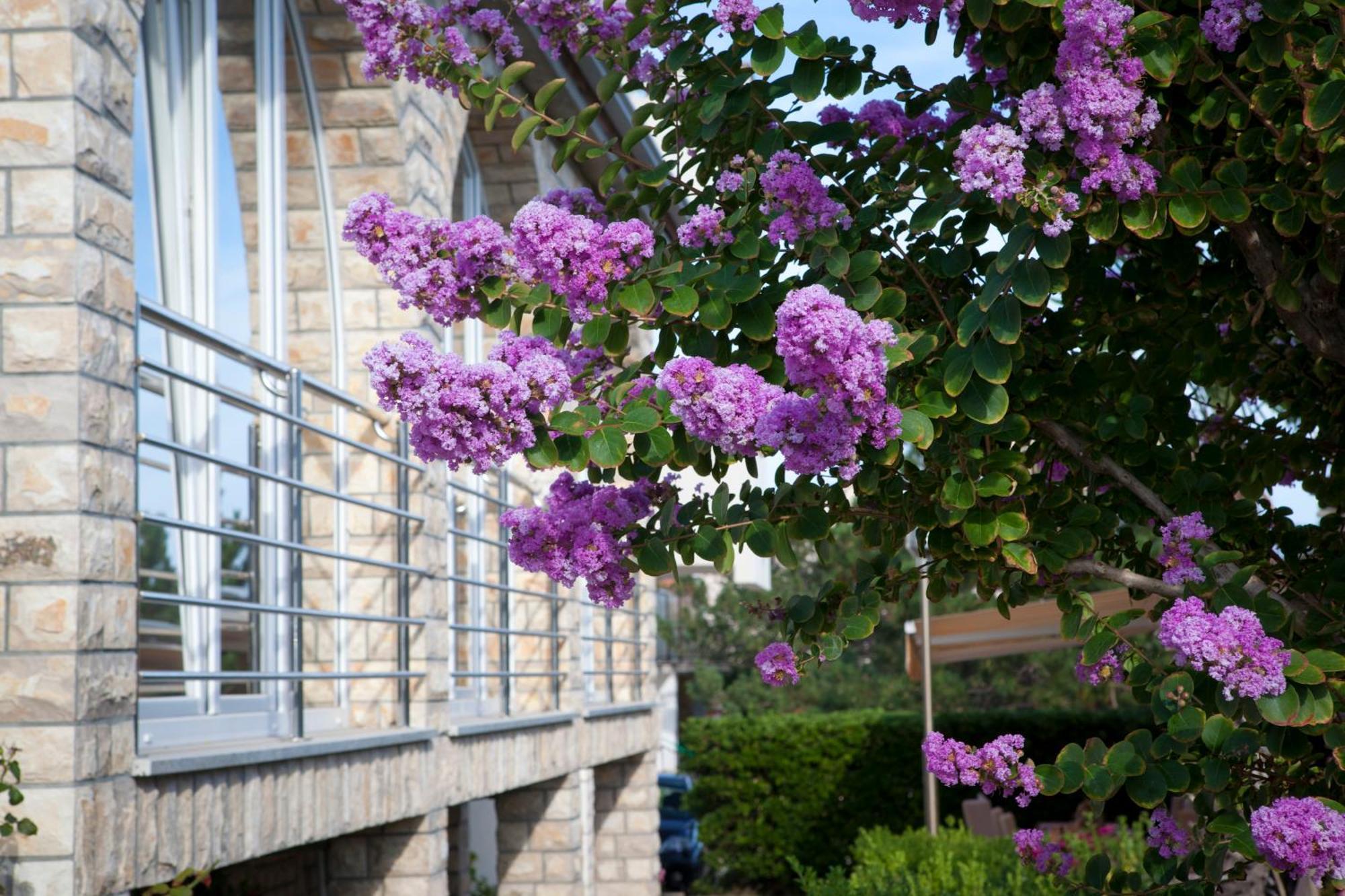 Pansion Burin Hotel Baška Exterior foto